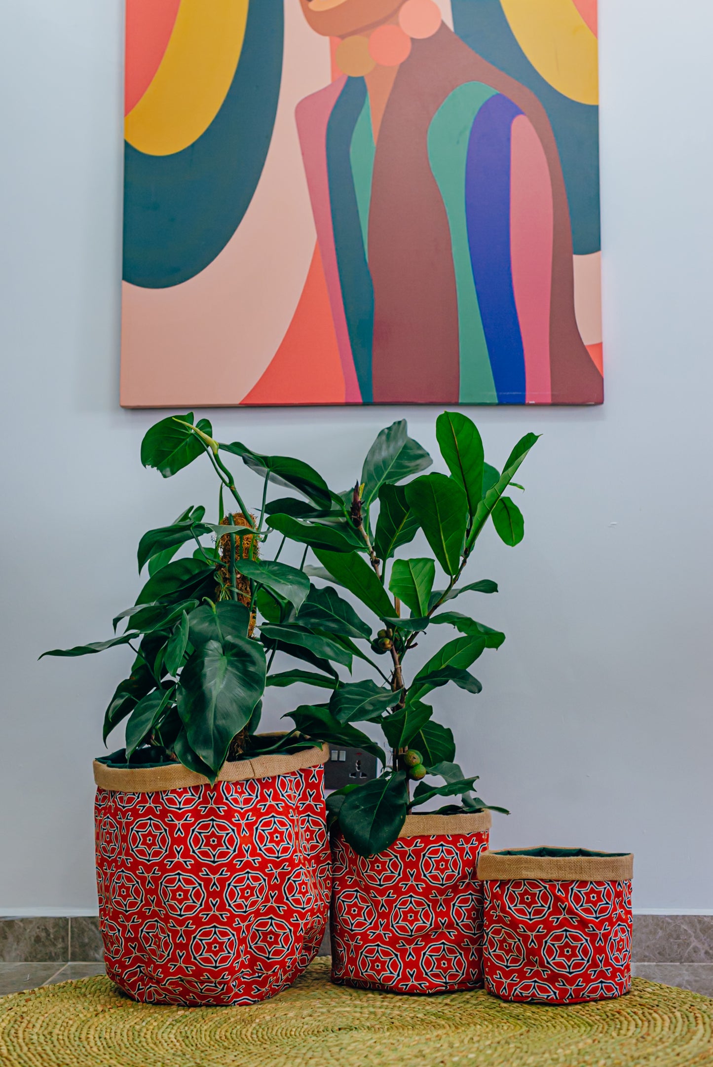 Jua Kitenge Planters